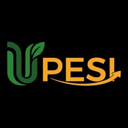 Logo GROUPE UPESI